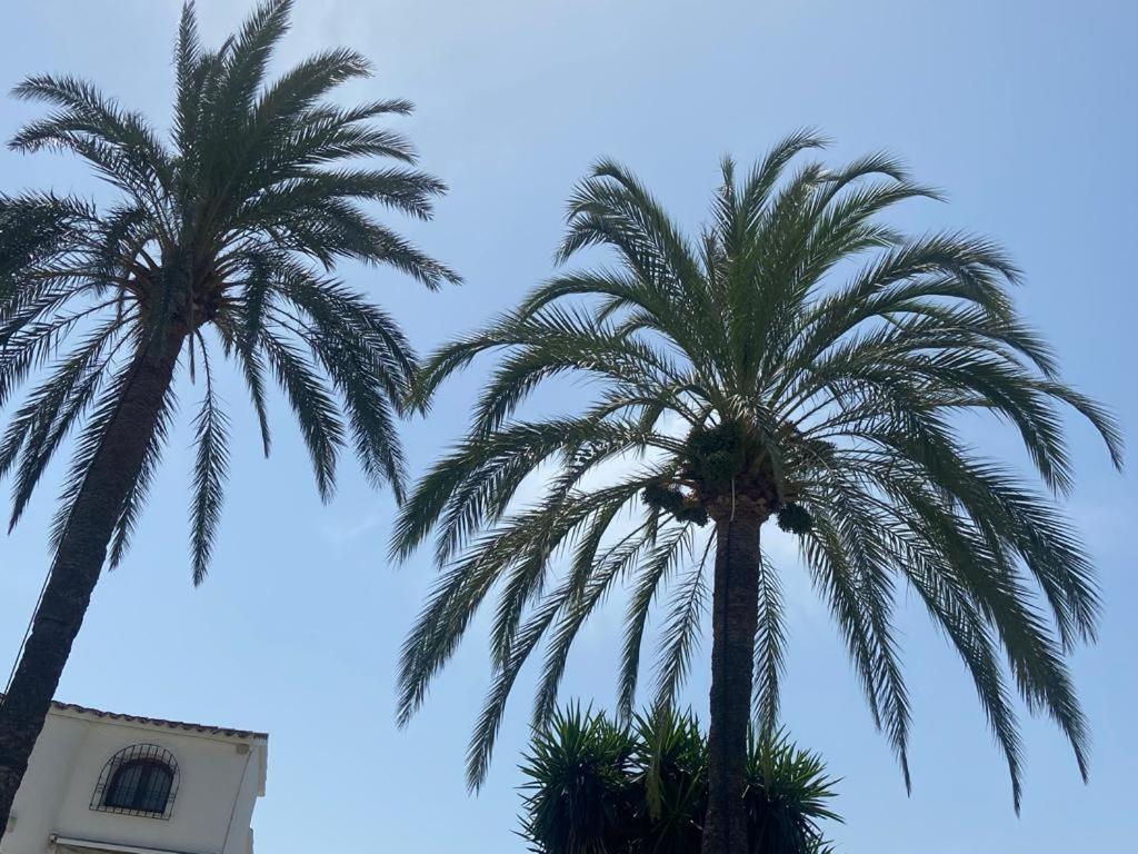 Apartamento Urb Oasis Park II Denia, Las Marinas Екстериор снимка